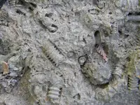 ImageUploadedByTapatalk1416966201.666418.webp