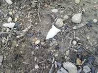 005.webp