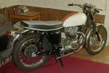 66 bonnie almost done.webp