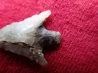 P7291033.webp