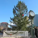 o-READING-CHRISTMAS-TREE-570.webp