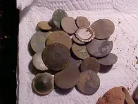 20.webp