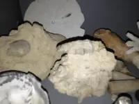 image-665634788.webp