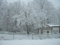 DSCF0002(1).webp