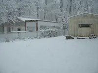 DSCF0003.webp