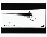 pistol.webp