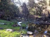 ImageUploadedByTreasureNet.com1420805848.854816.webp