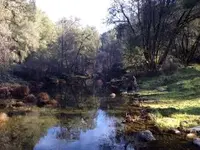 ImageUploadedByTreasureNet.com1420805868.200066.webp