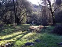 ImageUploadedByTreasureNet.com1420805887.784799.webp