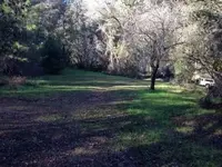 ImageUploadedByTreasureNet.com1420805924.367206.webp