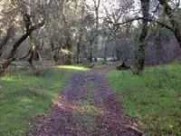 ImageUploadedByTreasureNet.com1420805941.284270.webp