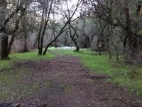 ImageUploadedByTreasureNet.com1420805957.167579.webp