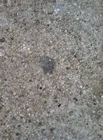 Meteorite hole.webp