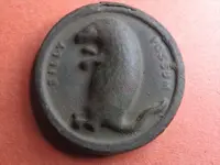 Billy button.webp