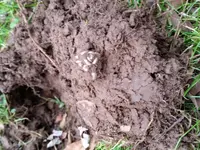 20141219_103929.webp