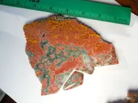 DSCN1602.webp