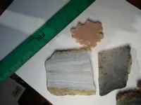 DSCN1603.webp