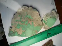 DSCN1606.webp