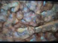 Crack 2 arizona.webp Crack 2 arizona.webp