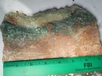 DSCN1607.webp
