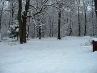 DSCF0007.webp