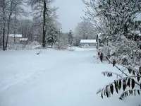 DSCF0008.webp