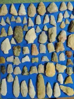 DSCN3093.webp