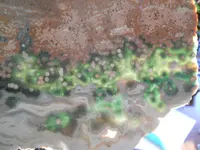 DSCN1610.webp