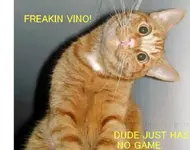 sideways-funny.webp