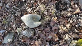 20150117_143210.webp