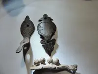 DSCN0214.webp