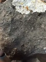 ImageUploadedByTreasureNet.com1421606820.377377.webp