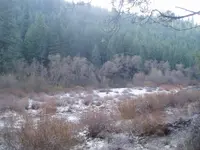 024.webp