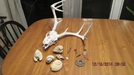 finds 002.webp
