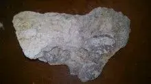 weird rock.webp
