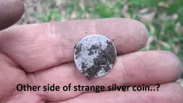 park finds 1-24-15 013.webp