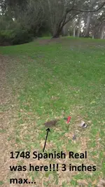 park finds 1-24-15 014.webp