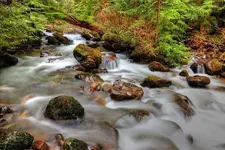 00555ND4.webp
