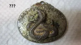 park finds 1-24-15 027.webp