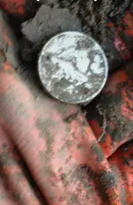 ImageUploadedByTreasureNet.com1421615291.159606.webp
