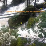 image.webp