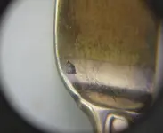 Fork Hallmark.webp