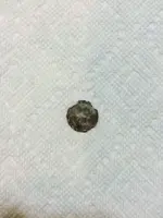 penny.webp