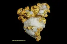 2013_1-83_oz_gold_nugget_no_ca.webp