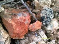 DSCF0492.webp