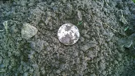 122014quarter.webp