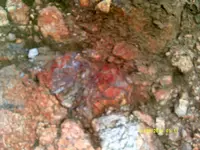 DSCF0495.webp
