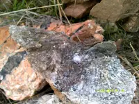 DSCF0504.webp