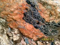 DSCF0510.webp