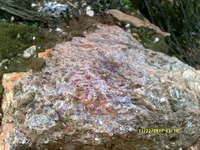 DSCF0512.webp